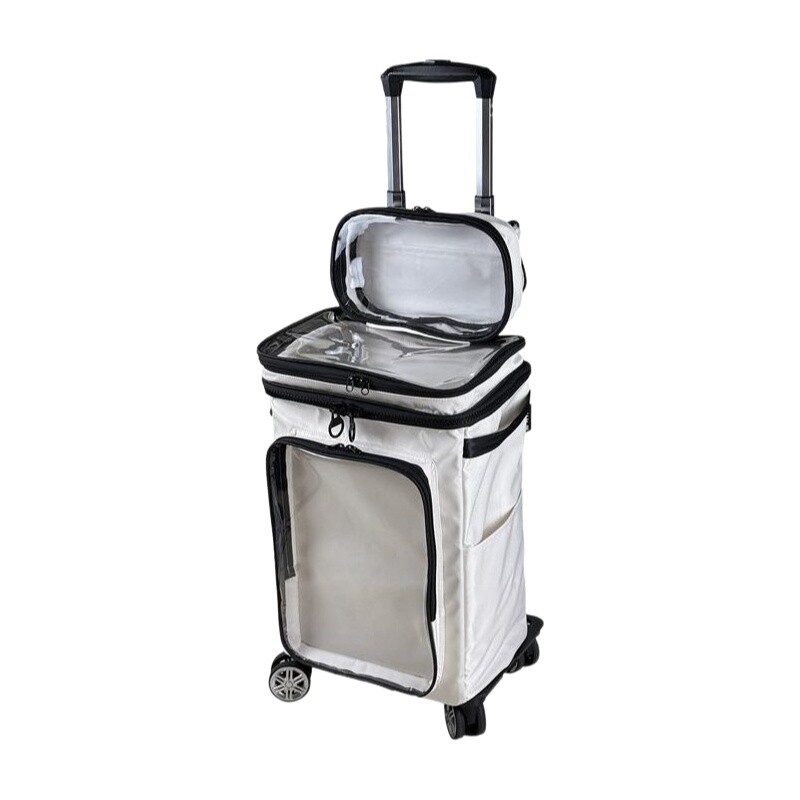 Spinner Wheel Rolling Suitcase 20 Inch - 原宿風漫画透明スーツケース 20インチ、クリアPVCキャビンバッグ 機内持ち込み可能 透明ローリングスーツケース（ホイール付き）